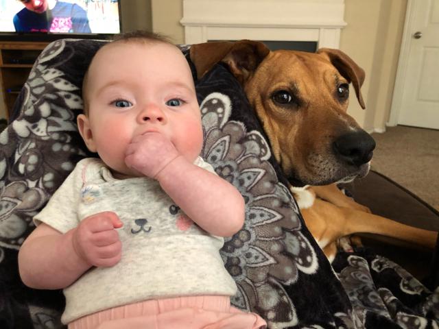 A baby, Kennedy Beck, with one of her family&rsquo;s dogs